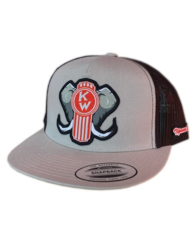 DLKG152- GORRA SILVER PARCHE PLANCHADO DE TELA -KW152