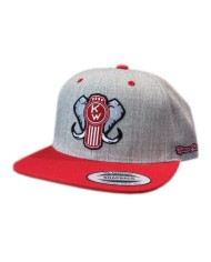 DLKG131- GORRA PARCHE BORDADO GREY/ RED-KW131