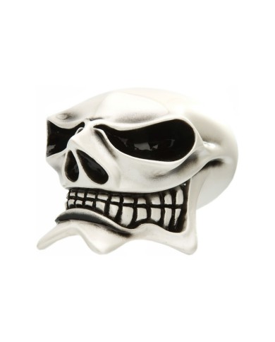 VCSMCP105 - McPhail - Skull