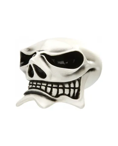 VCSMCP105 - McPhail - Skull