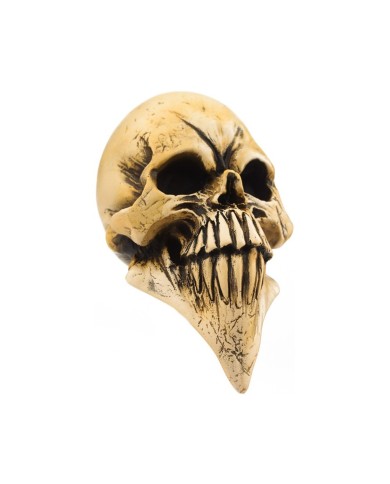 VCSMCP103 - McPhail - Long Skull