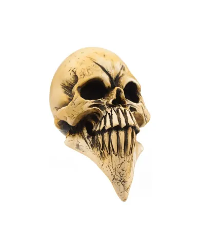 VCSMCP103 - McPhail - Long Skull