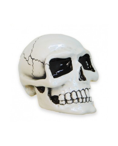 VCSVC097 - Small Skull - White