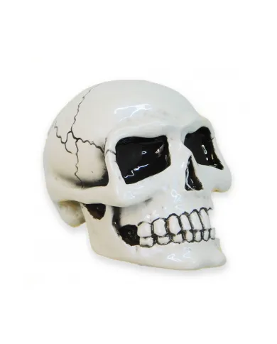VCSVC097 - Small Skull - White