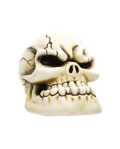 VCSVC077 - Punchy Skull - Bone