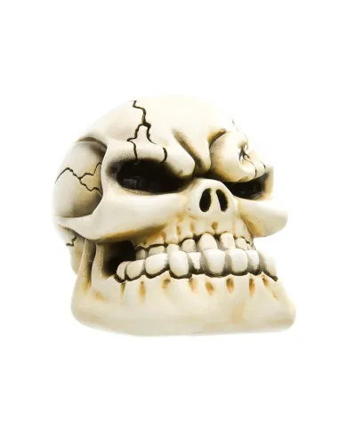VCSVC077 - Punchy Skull - Bone