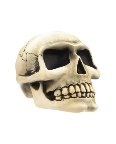 VCSVC094 - Small Skull - Bone