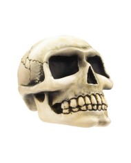 VCSVC094 - Small Skull - Bone