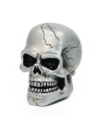 VCSVC002 - Arnold Skull-Pewter