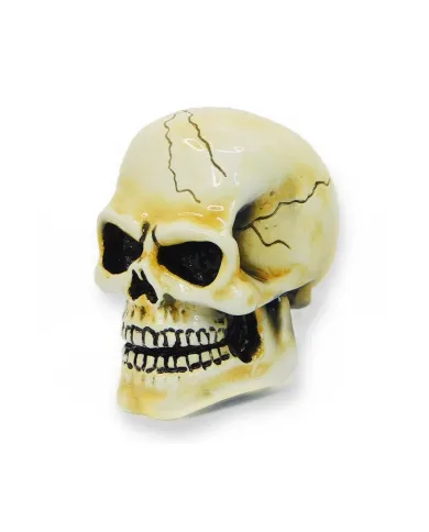 VCSVC001 - Arnold Skull-Bone