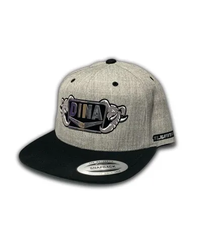 DLKG358- GORRA GREY/BLACK PARCHE VINIL DINA