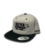 DLKG358- GORRA GREY/BLACK PARCHE VINIL DINA