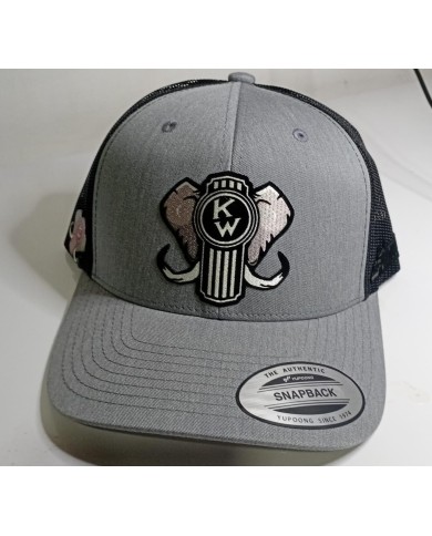 DLKG359-GORRA BLACK/HEATHER CURVA PARCHE PLANCHADO NEGRO KW