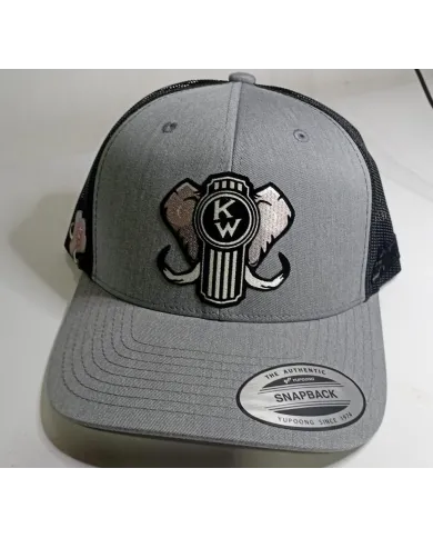 DLKG359-GORRA BLACK/HEATHER CURVA PARCHE PLANCHADO NEGRO KW