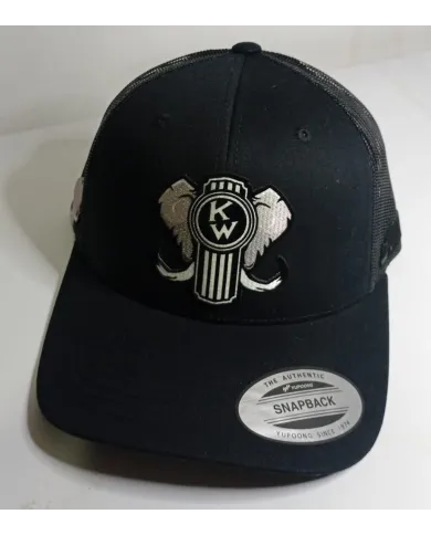 DLKG360- GORRA BLACK CURVA PARCHE PLANCHADO NEGRO KW