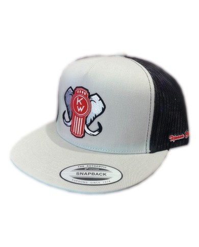 DLKG24- GORRA SILVER PARCHE PLANCHADO KW