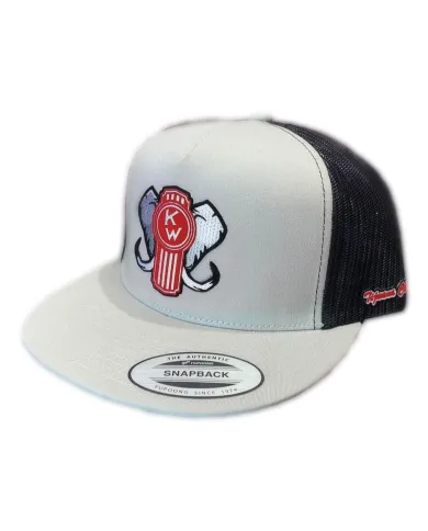 DLKG24- GORRA SILVER PARCHE PLANCHADO KW