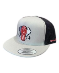 DLKG24- GORRA SILVER PARCHE PLANCHADO KW