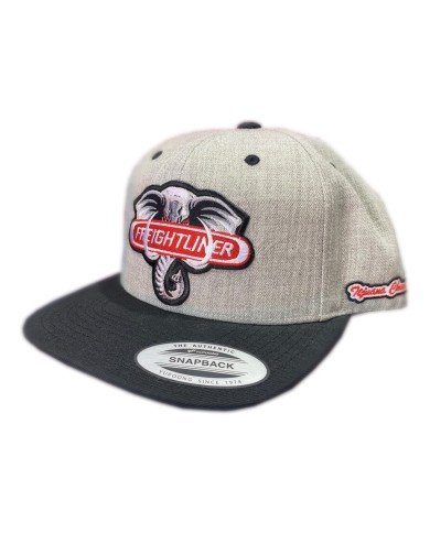 DLKG47- GORRA GRIS CLARO PARCHE PLANCHADO BORDADO - FL 47
