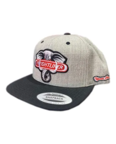 DLKG47- GORRA GRIS CLARO PARCHE PLANCHADO BORDADO - FL 47