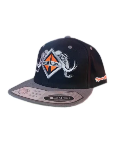 DLKG58-GORRA GREY/BLACK PARCHE BORDADO INT58