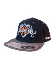 DLKG58-GORRA GREY/BLACK PARCHE BORDADO INT58