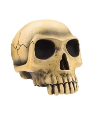 Richard Cranium - Bone