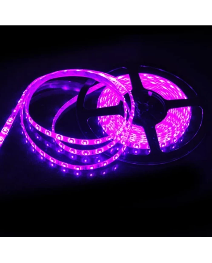 TIRA DE LUZ GENERICA MORADA 5 METROS