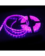 TIRA DE LUZ GENERICA MORADA 5 METROS TIRA DE LUZ GENERICA MORADA 5 METROS