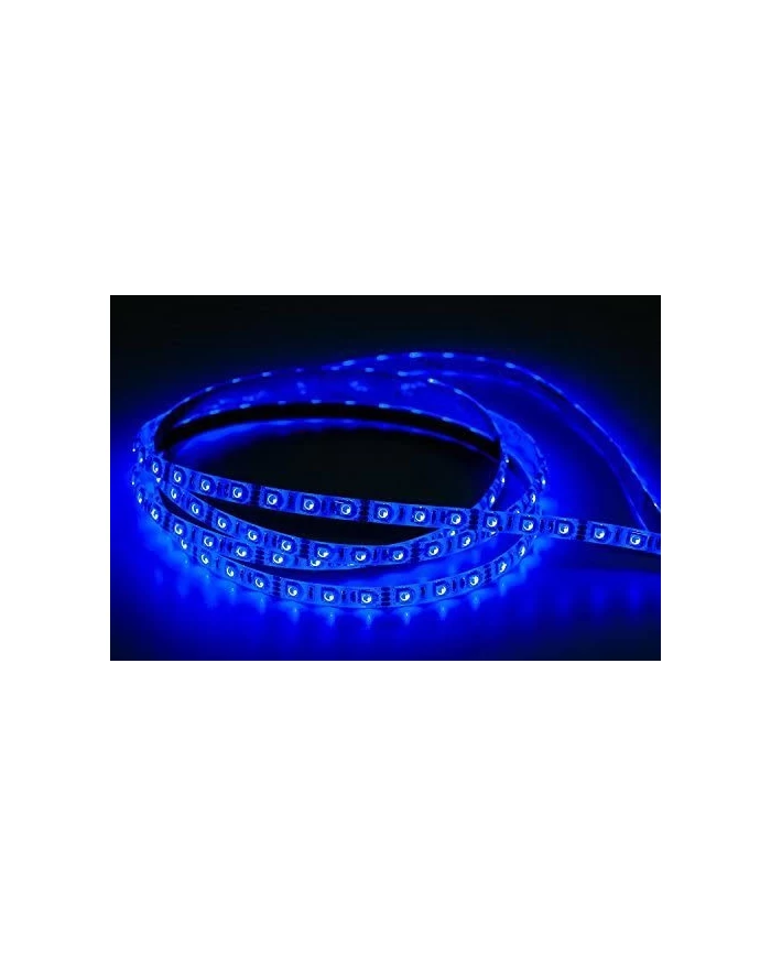 TIRA DE LUZ GENERICA AZUL 5 METROS