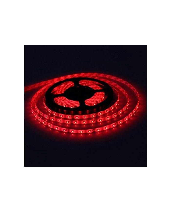 TIRA DE LUZ GENERICA ROJO 5 METROS
