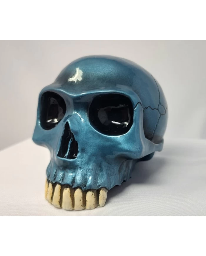 RICHARD CRANIUM- METAL BLUE RICHARD CRANIUM- METAL BLUE