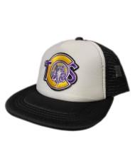 DLKG367- GORRA GENERICA PARCHE BORDADO TCS VERSION 1