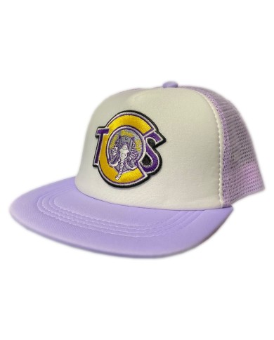 DLKG367- GORRA GENERICA PARCHE BORDADO TCS VERSION 1