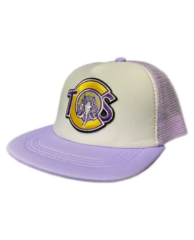 DLKG367- GORRA GENERICA PARCHE BORDADO TCS VERSION 1
