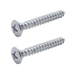 UP40985-1P-Kenworth Dome/Map Light Cover Mounting Screw (Card of 2)
