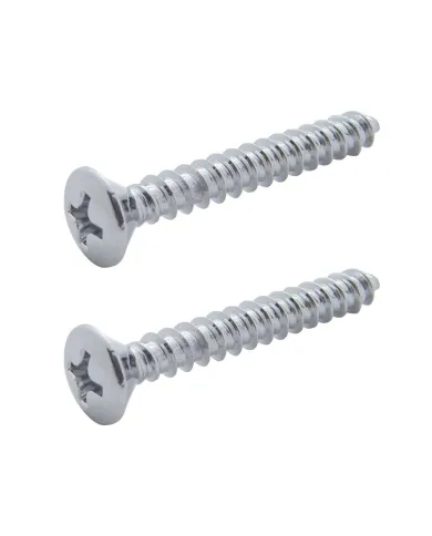 UP40985-1P-Kenworth Dome/Map Light Cover Mounting Screw (Card of 2)