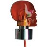 UP86059-Skull Bumper Guide Top - Amber (2-Pack)