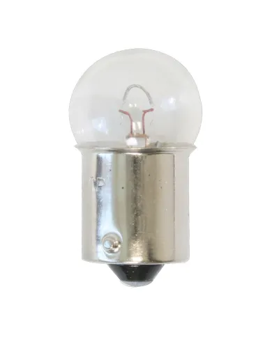 GG84020 - 89 CLEAR GLASS LIGHT BULBS 
