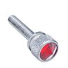 UP23819-1-3/16" Long M6-1.0 Dash Screw With Crystal For Kenworth - Red Crystal(12-Pack)