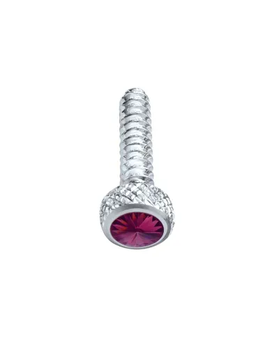 UP23842-Chrome Short Dash Screw For Freightliner With Purple Crystal (2-Pack)