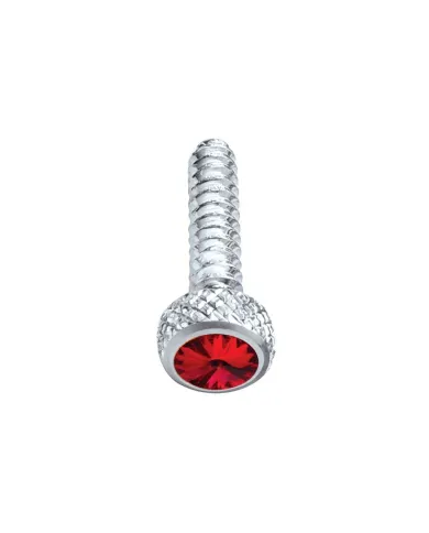 UP23843-Chrome Short Dash Screw For Freightliner With Red Crystal (2-Pack)