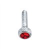 UP23843-Chrome Short Dash Screw For Freightliner With Red Crystal (2-Pack)
