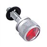 UP23852B-Dash Screw With Red Crystal For Peterbilt (2001-2005)(Bulk)