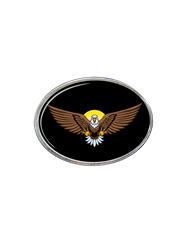 DLPCK-BO-BE-6090-Oval Belt Buckle Eagle Logo Black190 DLPCK-BO-BE-6090-Oval Belt Buckle Eagle Logo Black190