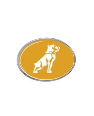 DLPCK-BO-M2-220-Oval Belt Buckle MK Bulldog Logo Yellow 220
