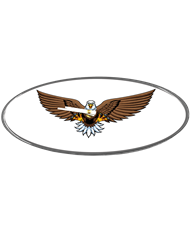DLPCK-CO8-BE-108-Eagle Clock 8 inch White 108 DLPCK-CO8-BE-108-Eagle Clock 8 inch White 108