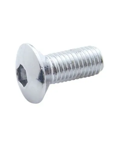 UP24011-Chrome Window Crank Screw