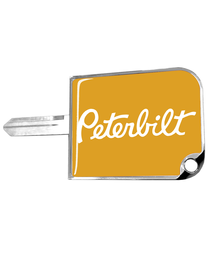 DLPCK-SKC1-P-220-Rectangular Big Key Cover PB Yellow 220