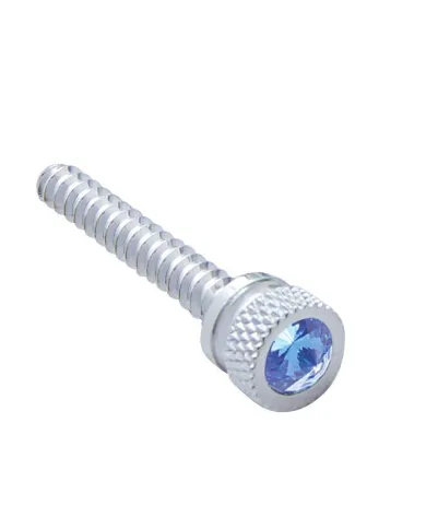 UP24052-Chrome Long Dash Screw With Blue Crystal For Freightliner (2-Pack)